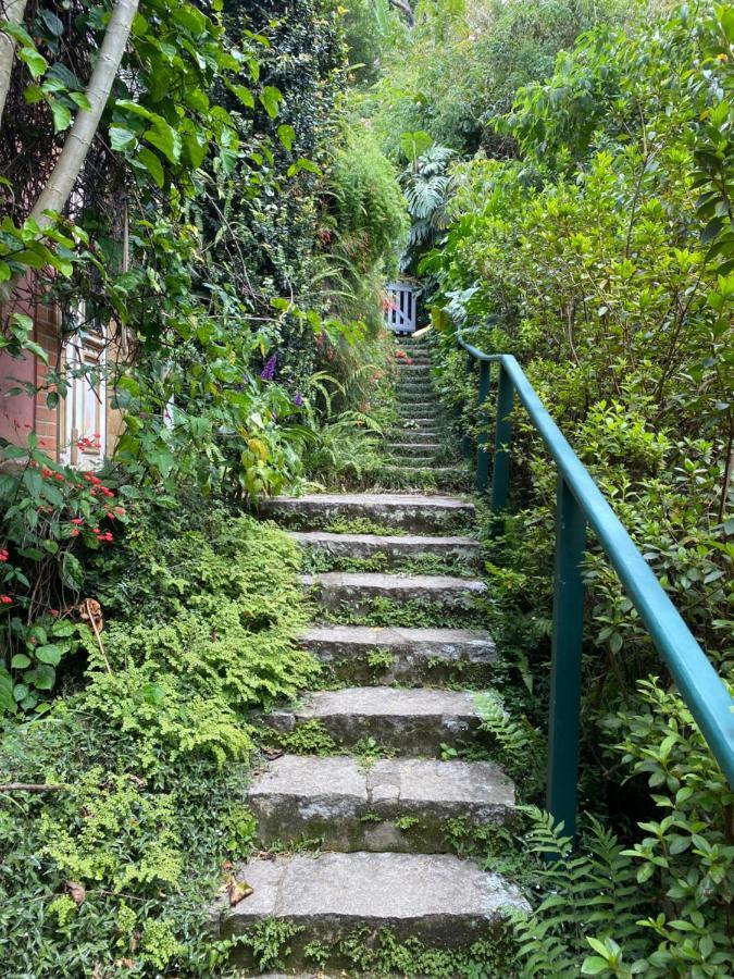 Villa Violeta Petrópolis Eksteriør bilde