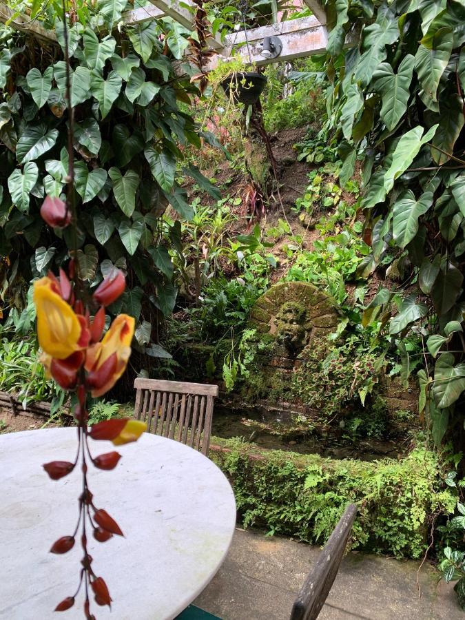 Villa Violeta Petrópolis Eksteriør bilde