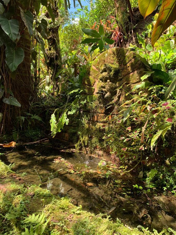 Villa Violeta Petrópolis Eksteriør bilde